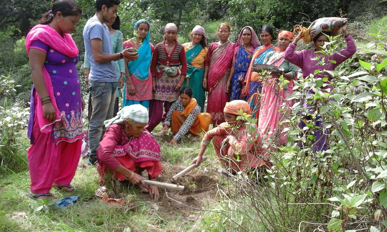 Livelihood group